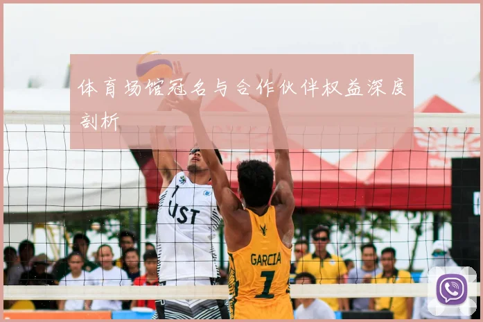 体育场馆冠名与合作伙伴权益深度剖析