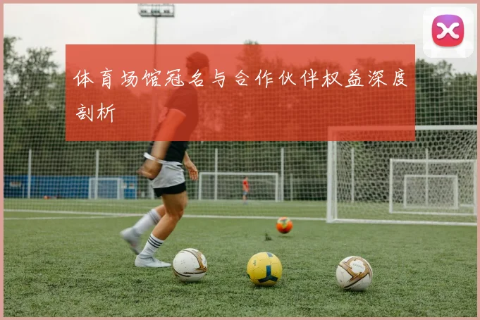 体育场馆冠名与合作伙伴权益深度剖析