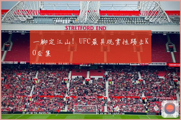 一脚定江山！UFC最具观赏性踢击KO合集