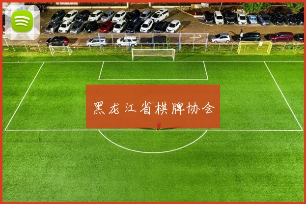 黑龙江省棋牌协会