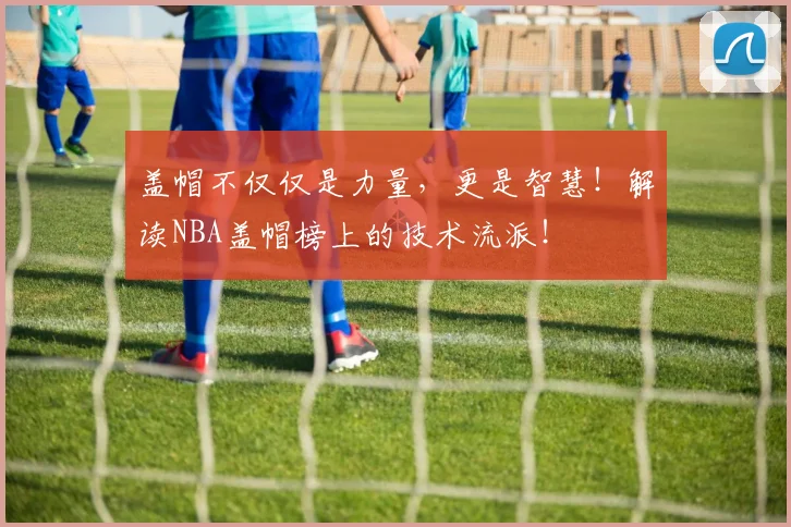盖帽不仅仅是力量，更是智慧！解读NBA盖帽榜上的技术流派！