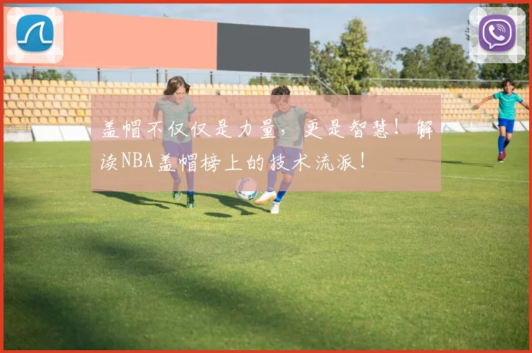 盖帽不仅仅是力量，更是智慧！解读NBA盖帽榜上的技术流派！
