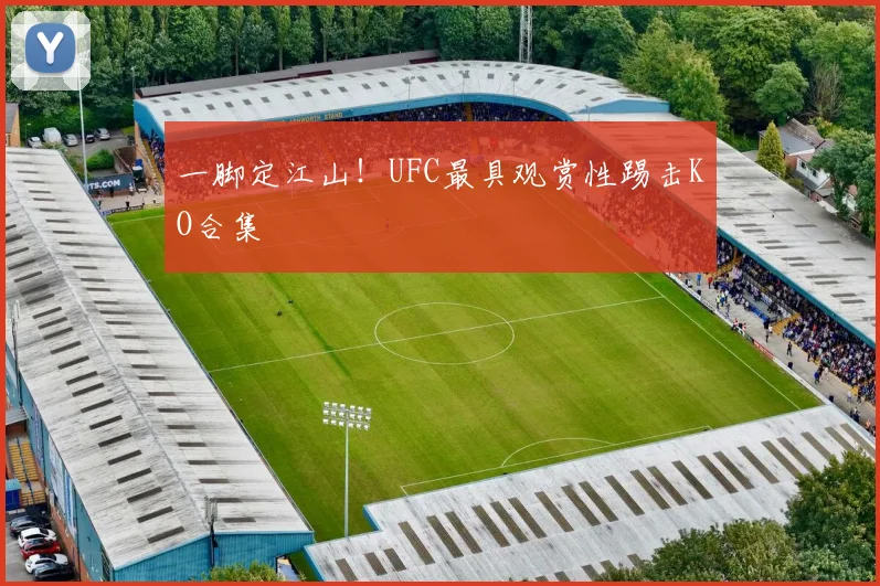 一脚定江山！UFC最具观赏性踢击KO合集