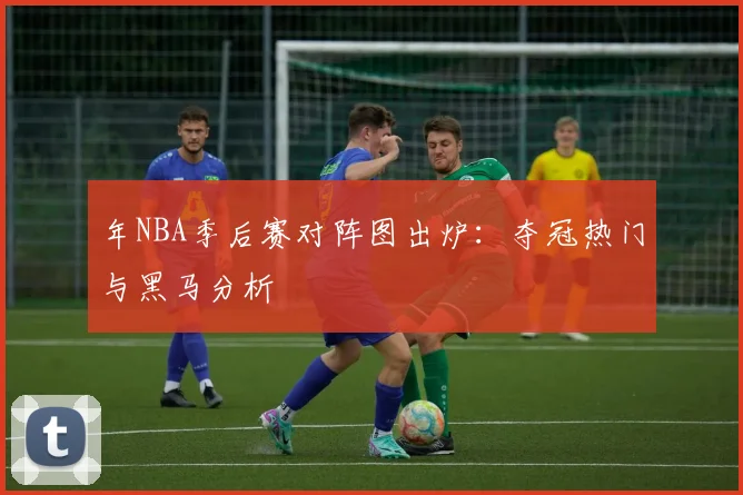 年NBA季后赛对阵图出炉：夺冠热门与黑马分析