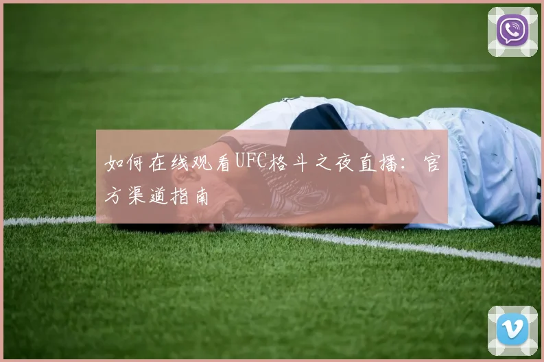 如何在线观看UFC格斗之夜直播：官方渠道指南
